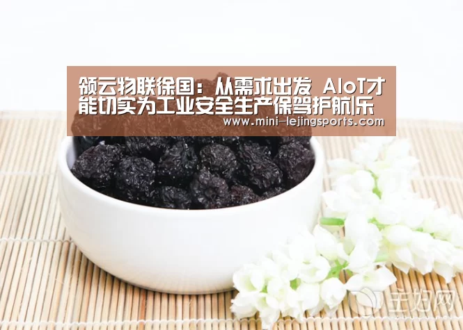 领云物联徐国:从需求出发 AIoT才能切实为工业安全生产保驾护航|乐竟体育官方(图4) 乐竟体育app下载