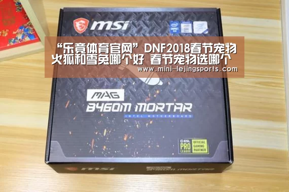 “乐竟体育官网”DNF2018春节宠物火狐和雪兔哪个好 春节宠物选哪个(图3) 乐竟体育官方