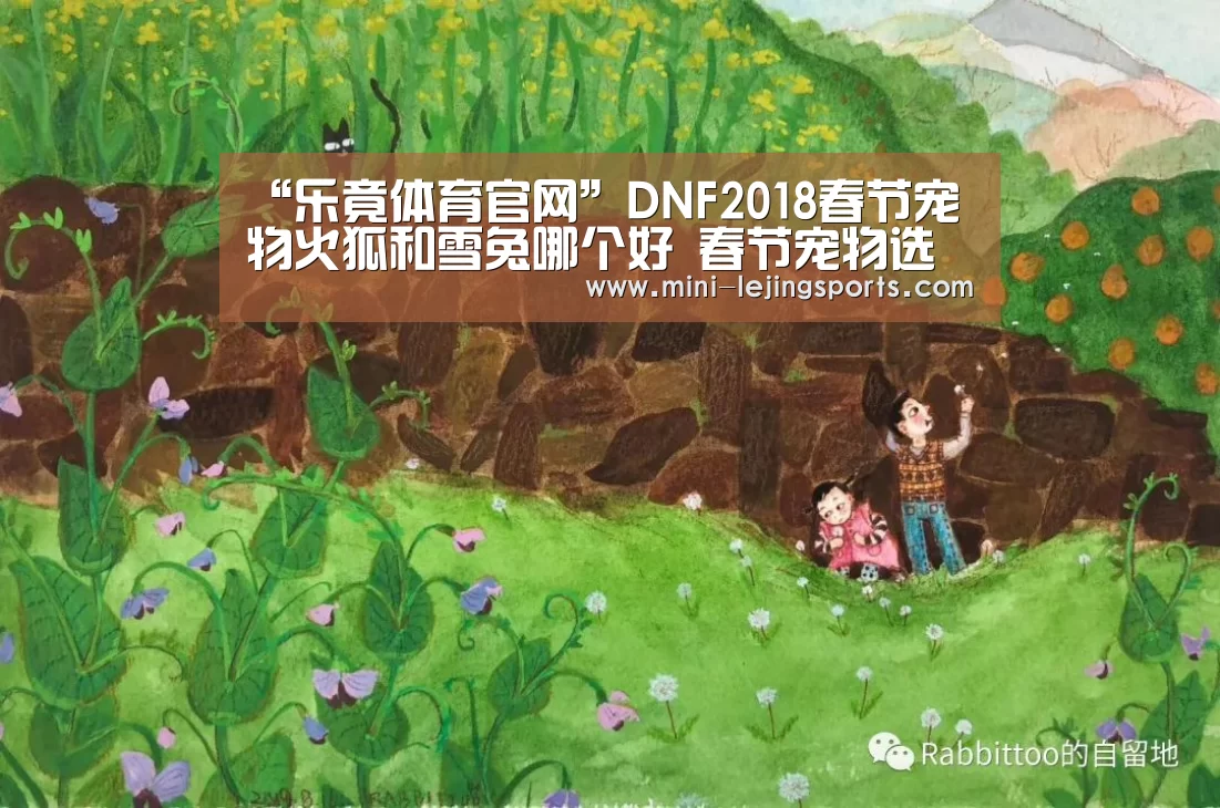 “乐竟体育官网”DNF2018春节宠物火狐和雪兔哪个好 春节宠物选哪个(图4) 乐竟体育官方